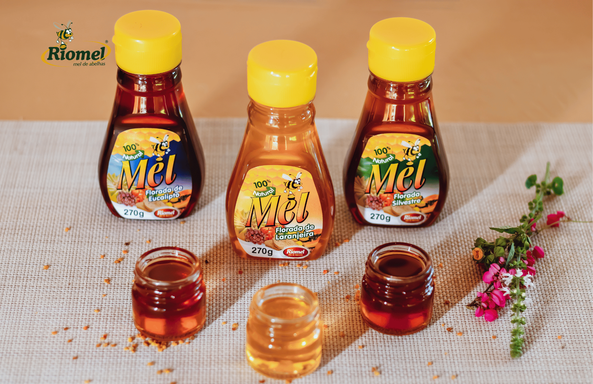 Comprar mel puro do produtor: dicas da Riomel