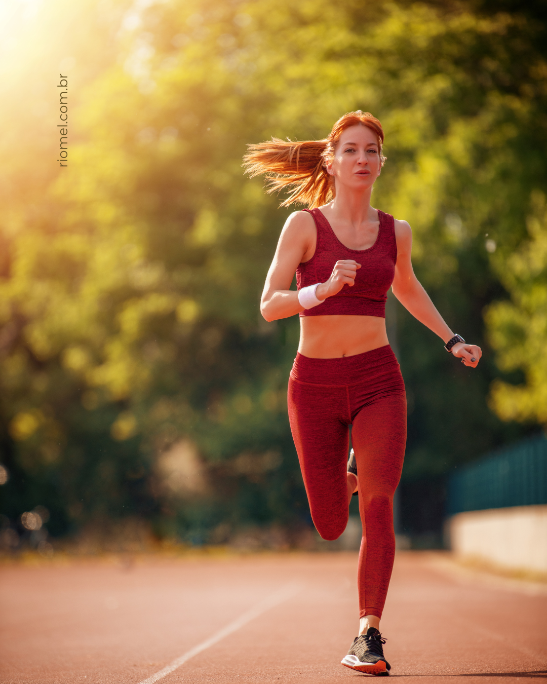 Mel puro tem validade? Entenda prazo e vida útil do produto apícola